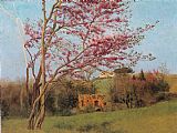 Almond Paintings - Blossoming Red Almond by John William Godward